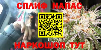 ECSTASY Будённовск