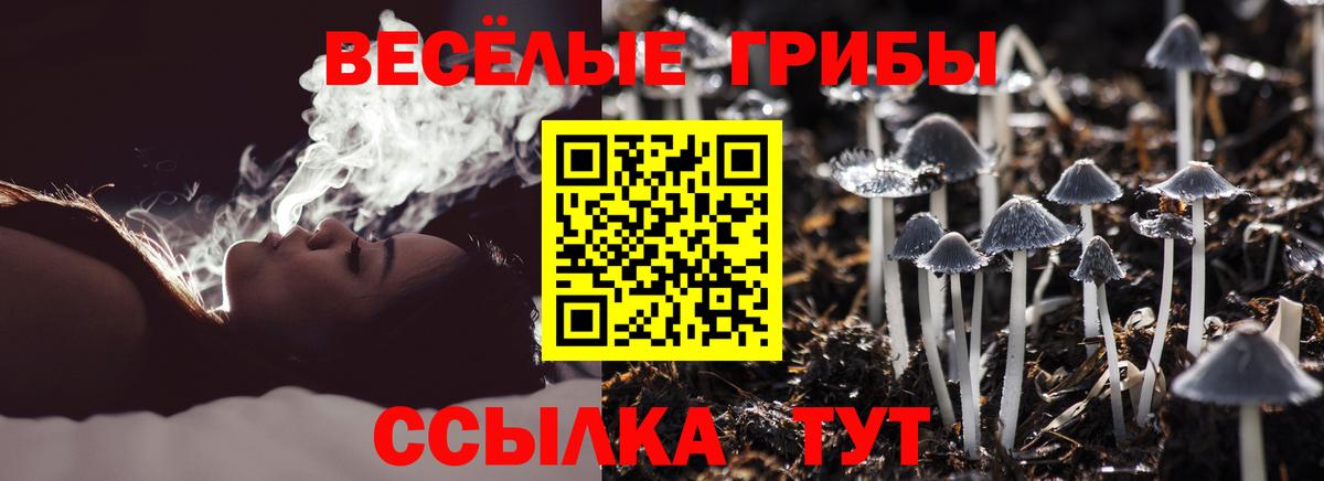 Галлюциногенные грибы мицелий  Вход с VPN  Озёрск 